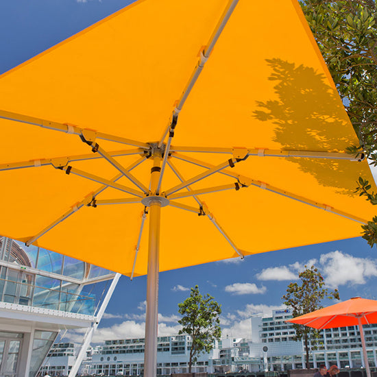 Giant by Frankford Umbrellas